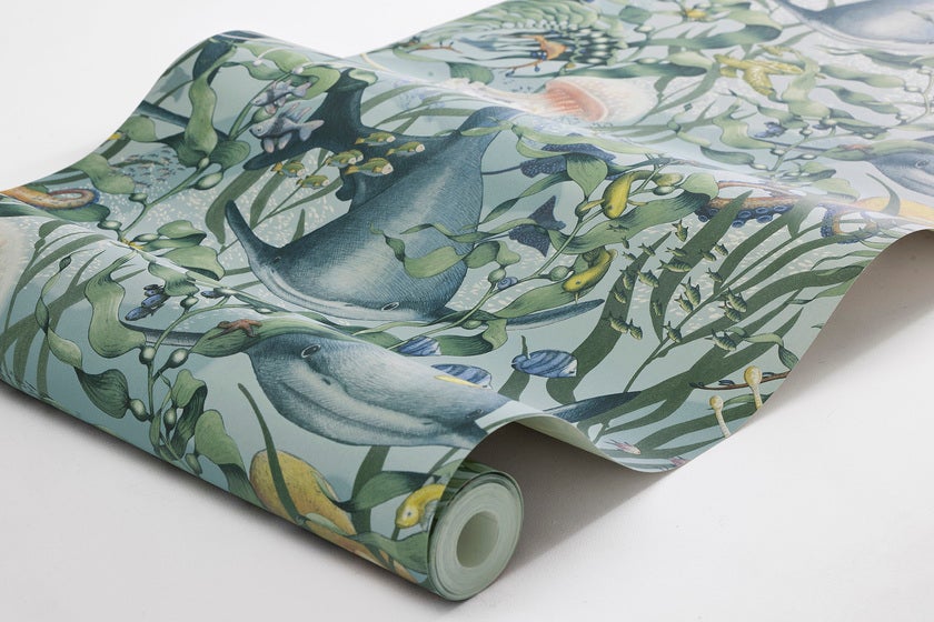 Underwater Magic, Turkos