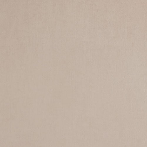 Color Stories 218500