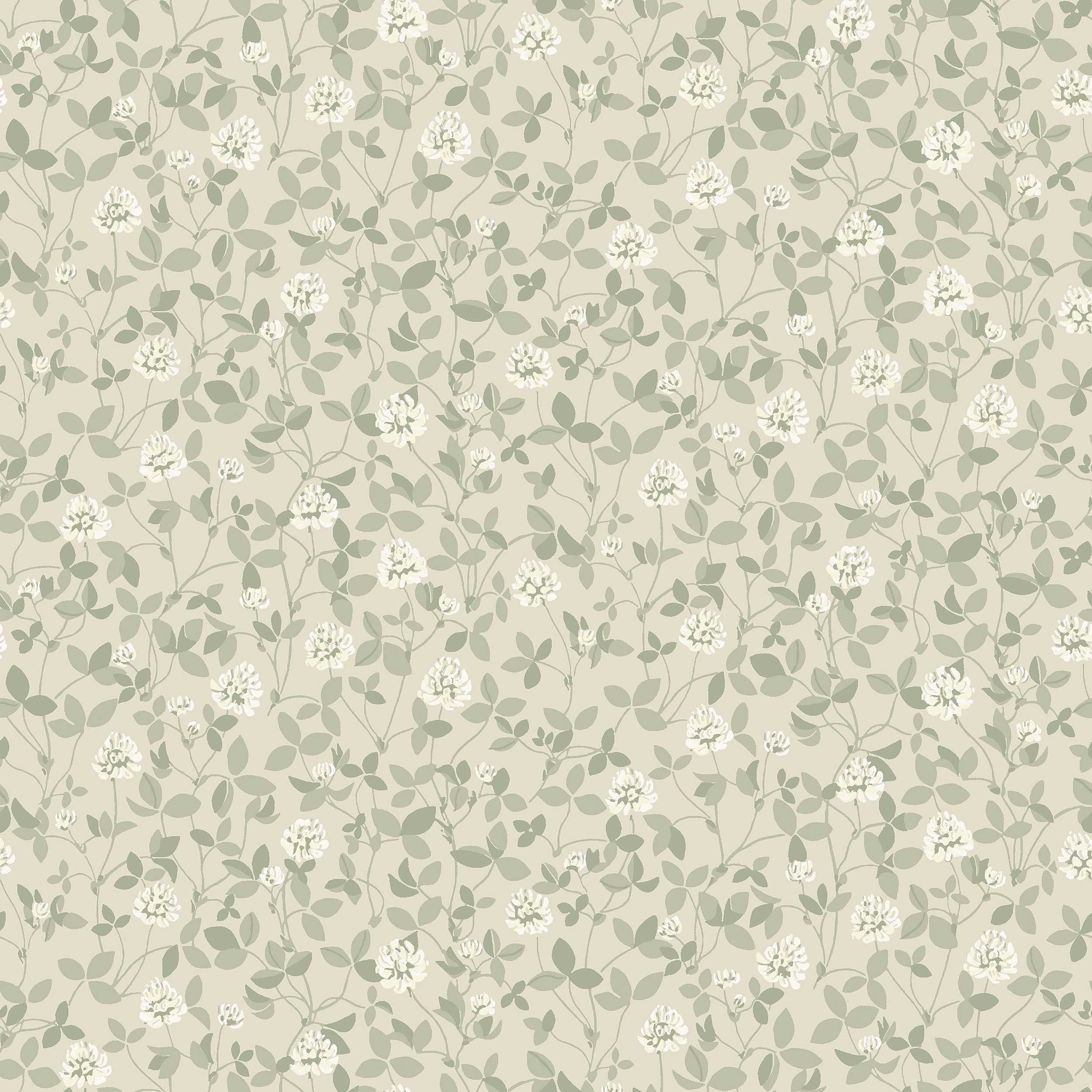 Klöver, Beige