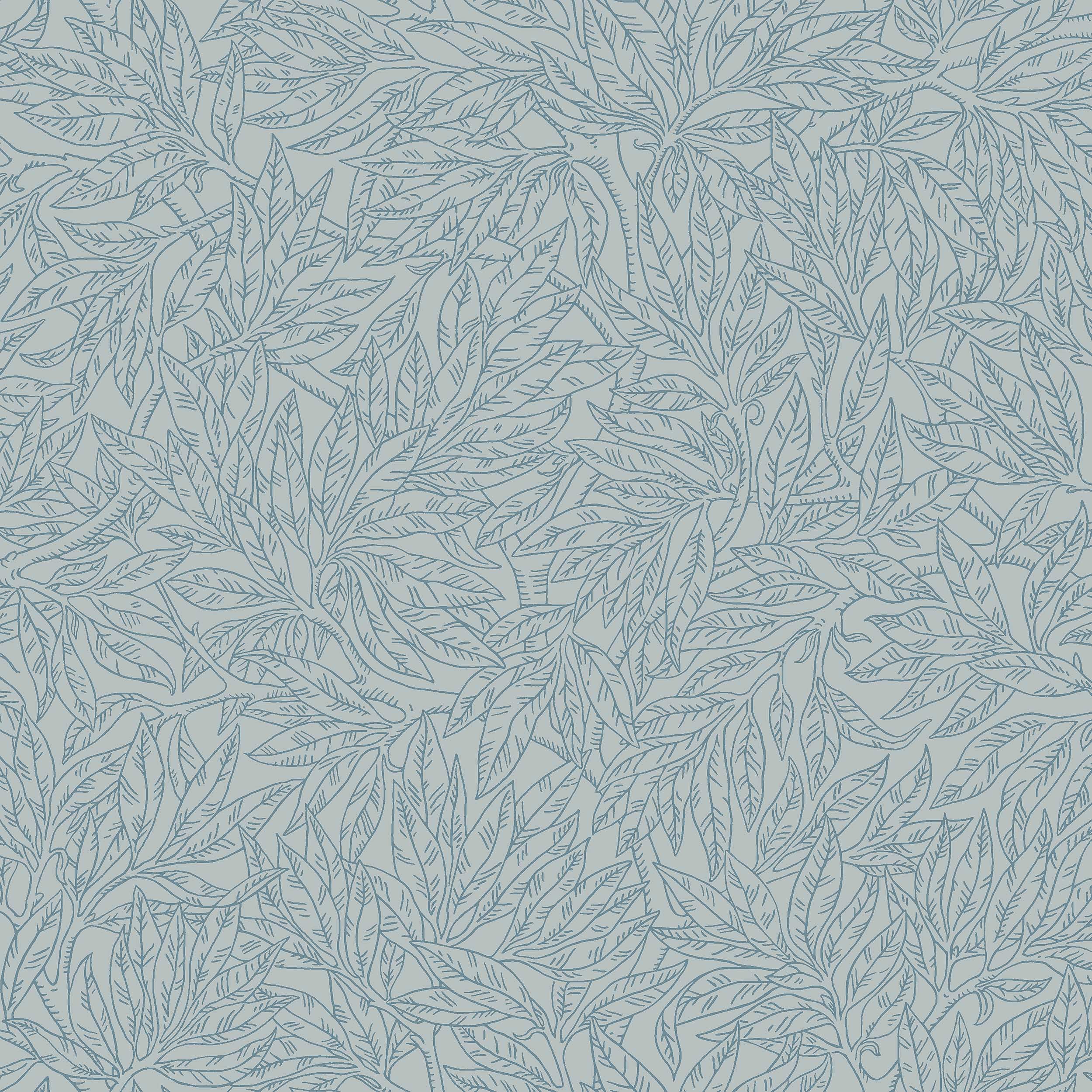Salix Alba, blå